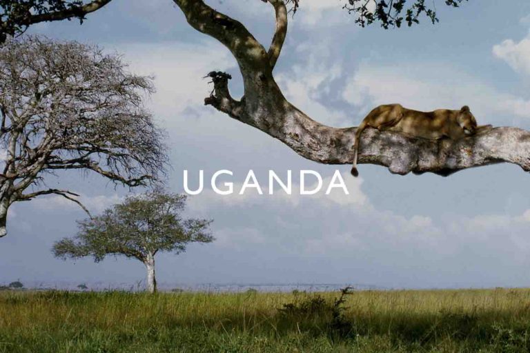 UGANDA